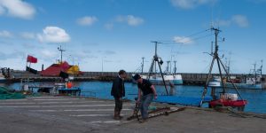 4669255128_109548320d_b